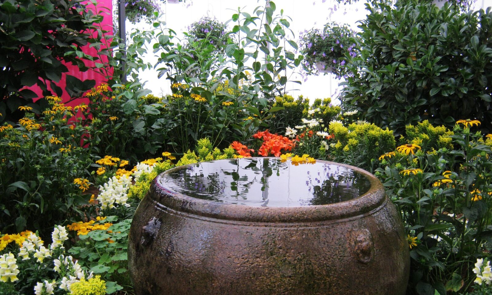 Journeys of Abundance